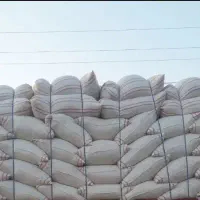 کاه گندم کوهدشت