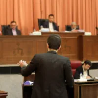 وکیل الرعایا، حق الوکاله متناسب