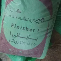پرواری شیری