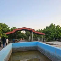 باغچه با پیش پرداخت ۵۰م سندار دسته اول از مالک|فروش زمین و ملک کلنگی|مشهد, توس فردوسی|دیوار