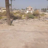 زمین-کوی-نخلستان-پشت-سی-متری