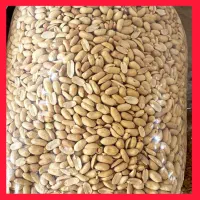 بادام زمینی خلال کره گیری ایرانی اعلا (بدون شن)