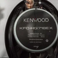 ظبت پایونر وباند کیم وود