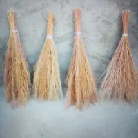 جارو دسته شدە دستە های بزرگ|جاروبرقی، جارو شارژی، بخارشو|نهاوند, |دیوار