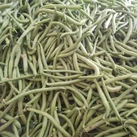 فروش محصولات ارگانیک