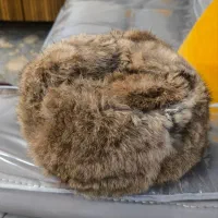 کلاه پوست خرگوش|کیف، کفش، کمربند|قدس, شهرقدس|دیوار