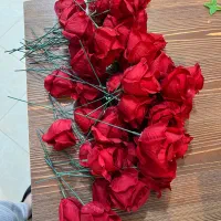 گل قرمز|گل مصنوعی|رشت, دیلمان|دیوار