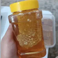 عسل طبیعی|عمده‌فروشی|لاهیجان, طالقانی|دیوار