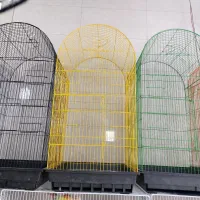 انواع پرندگان زینتی و لوازم