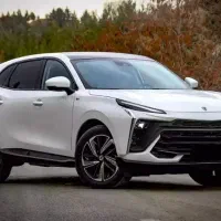 لاماری ایما/ هیبرید/تحویل روز ۱۴۰۴/صفر خشک