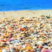 تورریلی قشم و هوایی کیش