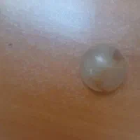 سنگ اصلی درنجف به فروش میرسد|کلکسیون و سرگرمی|کازرون, |دیوار