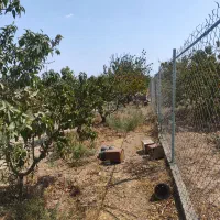 زمین کشاورزی 1400متری فنس کشی|فروش دفتر صنعتی، کشاورزی، تجاری|اصفهان, مرداویج|دیوار