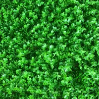 پخش انواع چمن ،فنس برگی رشته ای گرینوال سنگ|عمدهفروشی|رشت, امین الضرب|دیوار