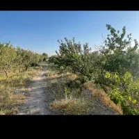 فروش باغ وزمین کشاورزی|فروش دفتر صنعتی، کشاورزی، تجاری|تهران, نارمک|دیوار