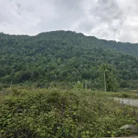 ۲۵۰ متر سند دار شهید بهشتی