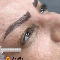 استخدام پیگمنتر