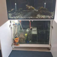 آکواریوم حرفه ای با رآکتور تصفیه آب|ماهی|زرندیه, |دیوار