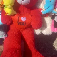 عروسک پولیشی|اسباب‌بازی بچه|فسا, |دیوار