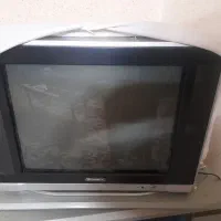 تلوزیون