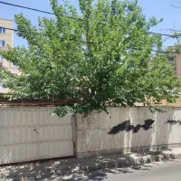 با-سلام-ویلای-در-دوطبقه-با-بر-14-5-شمالی