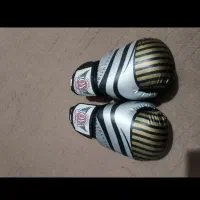 دستکش بوکس|تجهیزات ورزشی|مشهد, رده|دیوار