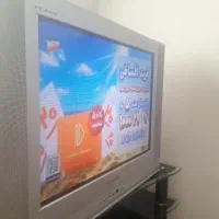 قفس عروس هلندی بزرگ و تلویزیون