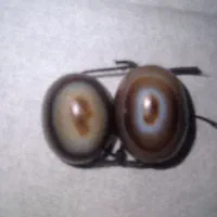 مهره سلیمانی وداودی