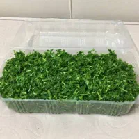 سبزی پاک شده و خرد شده کیفیت خوب و قیمت بی نظیر|خوردنی و آشامیدنی|شیراز, شهرک مطهری|دیوار