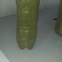 دلال ماست و نازخاتون وسبزی ماهی و قرمه و مرغ ترش|خوردنی و آشامیدنی|گتاب, |دیوار