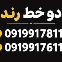 سیمکارت ۰۹۱۹۹۱۷ جفت