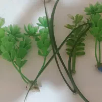 تزئینات آکواریوم یا گلدان