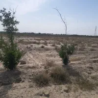 زمین-درترشنبه-گلدسته