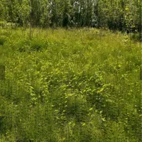 زمین-داخل-طرح-هادی