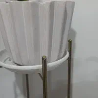 گلدان|گل و گیاه طبیعی|بهارستان, |دیوار