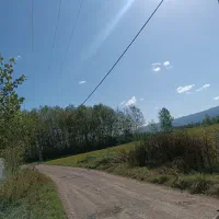 5 هزار متر زمین شالیزار/مکانیزه در لفمجان|فروش دفتر صنعتی، کشاورزی، تجاری|لاهیجان, لفمجان|دیوار