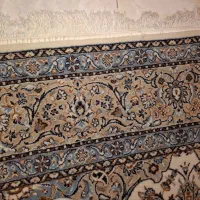 فرش ۶ متری|فرش|رشت, دیانتی|دیوار