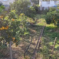 فروش زمین|فروش زمین و ملک کلنگی|کتالم و سادات شهر, |دیوار