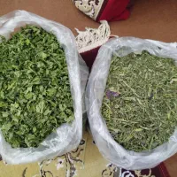سبزی