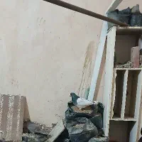 کبوتر
