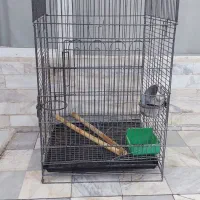 قفس پرنده سایز بزرگ