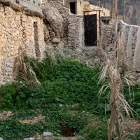 محل پرورش ونگهداری پرنده (قناری،کاسکو،وغیره)|فروش زمین و ملک کلنگی|کازرون, |دیوار