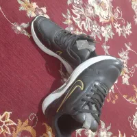 کتونی نو