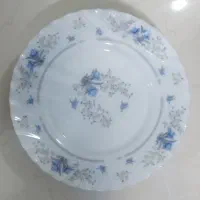 آرکوپال گل آبی