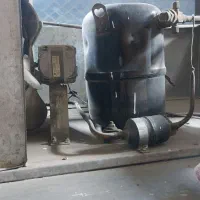 یخچال ویترینی