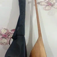 دوتار کاسه ای دو عدد