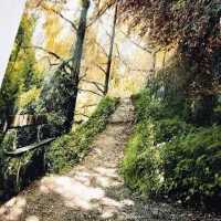 ۲ عدد فرش ۶ متری (سه بعدی)|فرش|کرج, فاز ۲ مهرشهر|دیوار