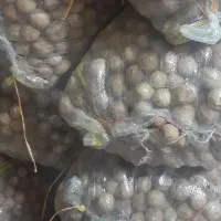 فروش لیمو خشک درجه ۱