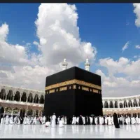 فروش دو عدد فیش
