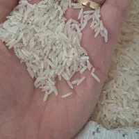 برنج عنبر بو|خوردنی و آشامیدنی|دره شهر, |دیوار